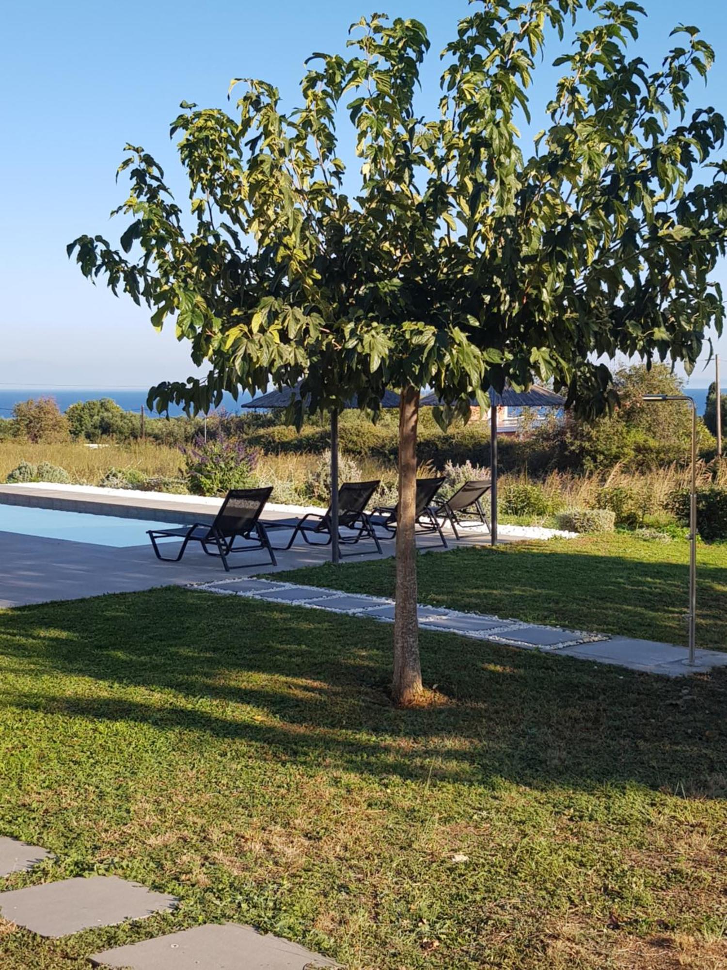 Alberi - Izla Homes Skala  Zewnętrze zdjęcie