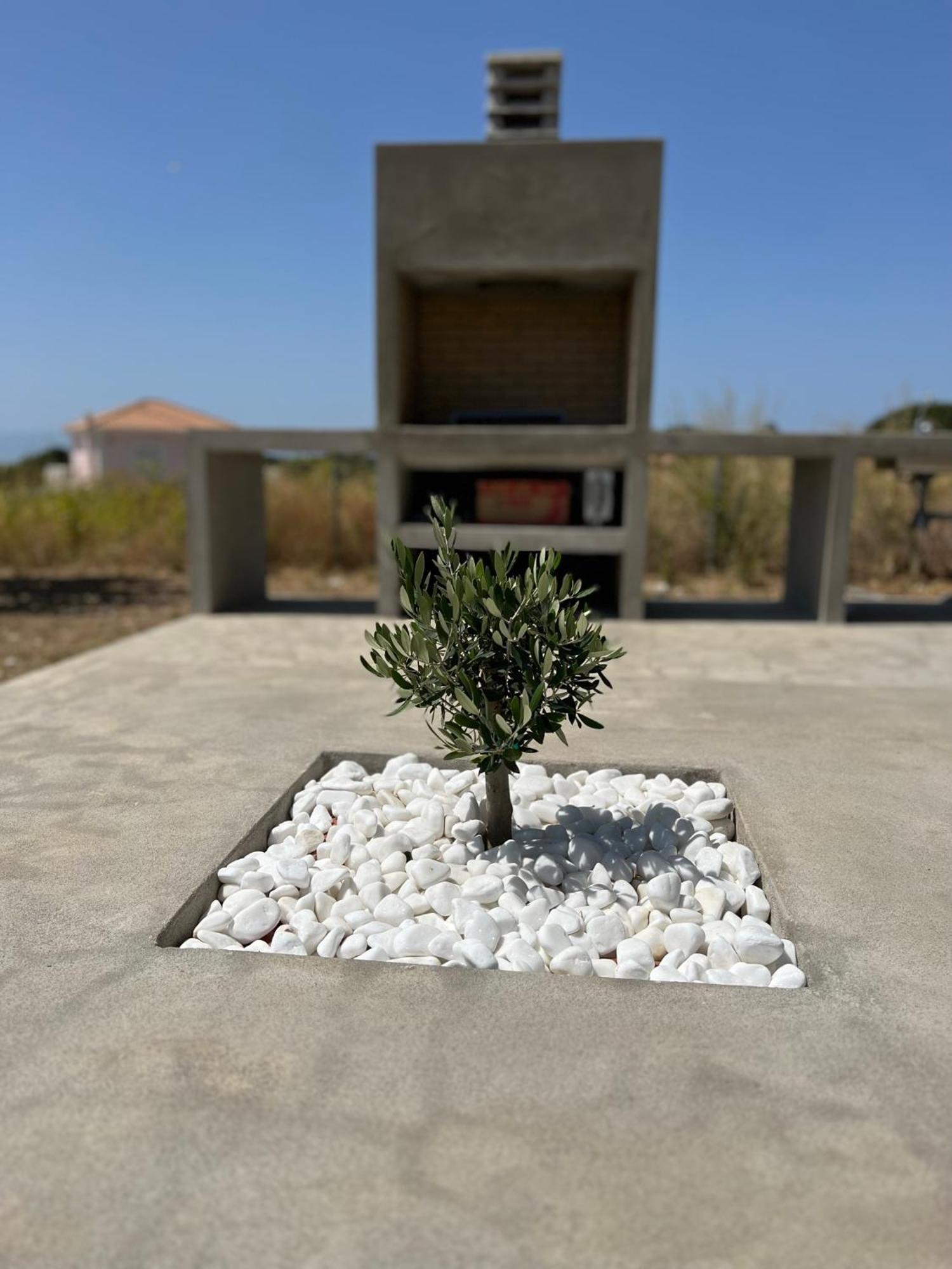 Alberi - Izla Homes Skala  Zewnętrze zdjęcie
